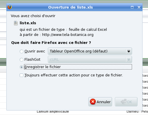 Exporter observations 2