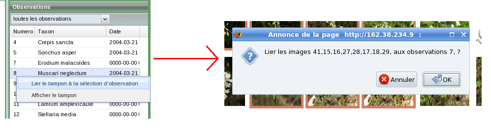 Liaison images tampon