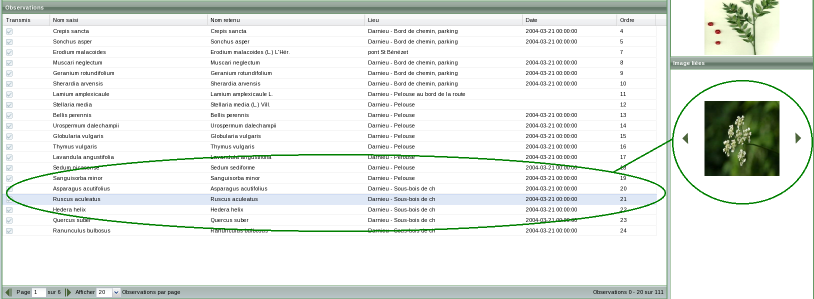 voir liaisons observations