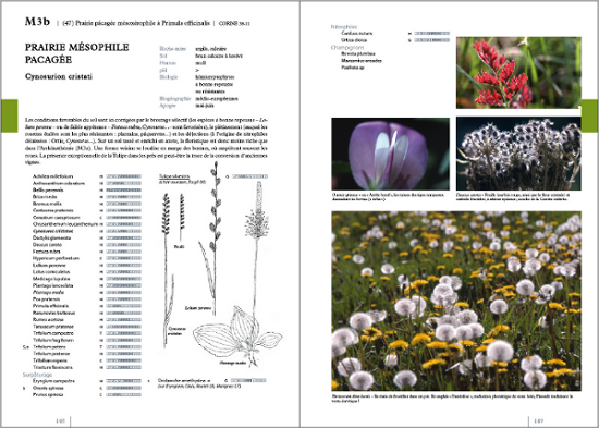 Exemple de pages intérieures