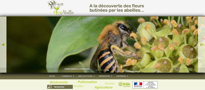 Site FlorAbeilles