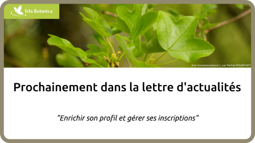 pas de alt pour cette image, soz