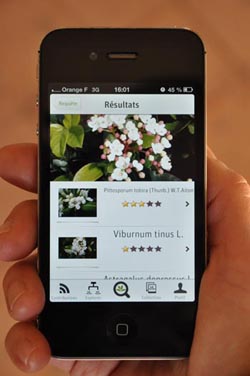 pas de alt pour cette image, soz