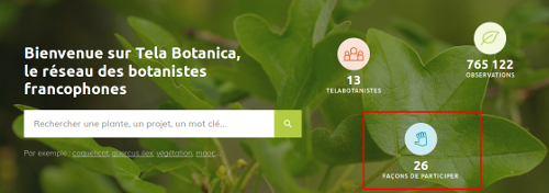 Page d'accueil du site Internet de Tela Botanica - CC BY-SA Tela Botanica
