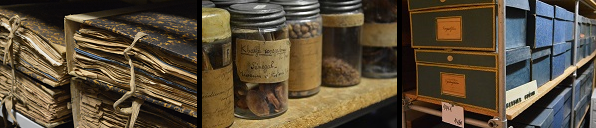 Liasse d'herbier, collection de graines et boîtes de l'Herbier Guépin
