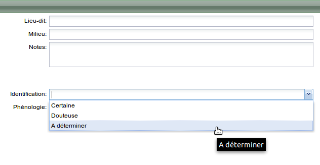 pas de alt pour cette image, soz