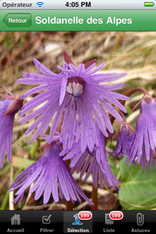 Wild Flora capture d'écran