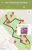 Exemple d'un sentier sur l'application Smart'Flore