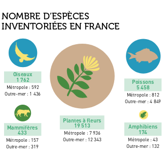 Issue du livret de l'INPN