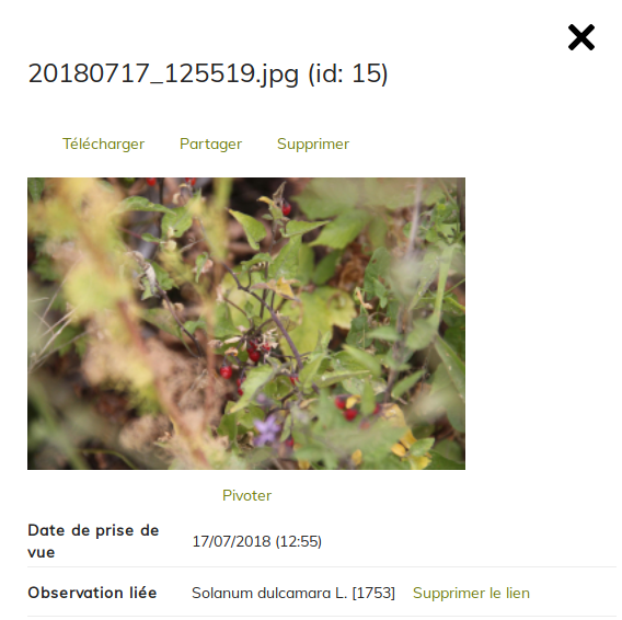 image Details_photos.png (0.2MB)