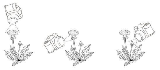 image Focus_plantes_2.jpeg (15.1kB)
Lien vers: https://www.tela-botanica.org/wikini/pedagobota/wakka.php?wiki=PrendrePlantePhoto