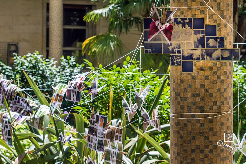 image 2InstallationAssise_science_citoyenne_flore.jpg (0.5MB)