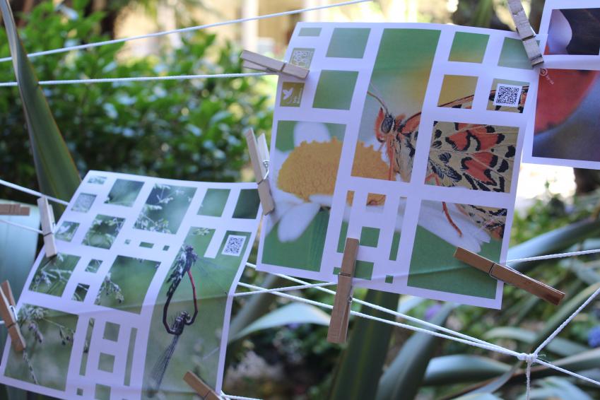 image Hugo1.jpg (2.7MB)