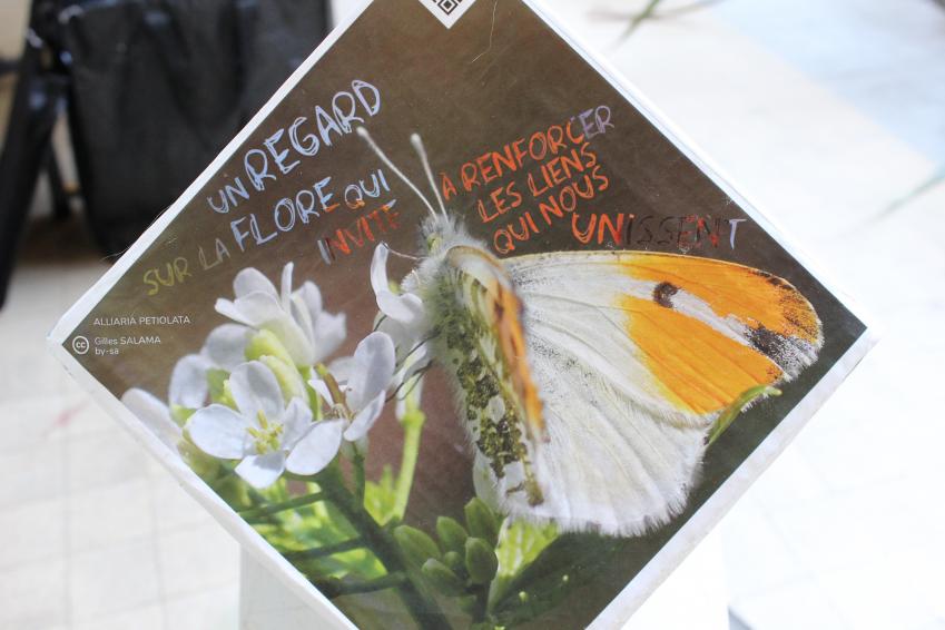 image Hugo4.jpg (2.6MB)