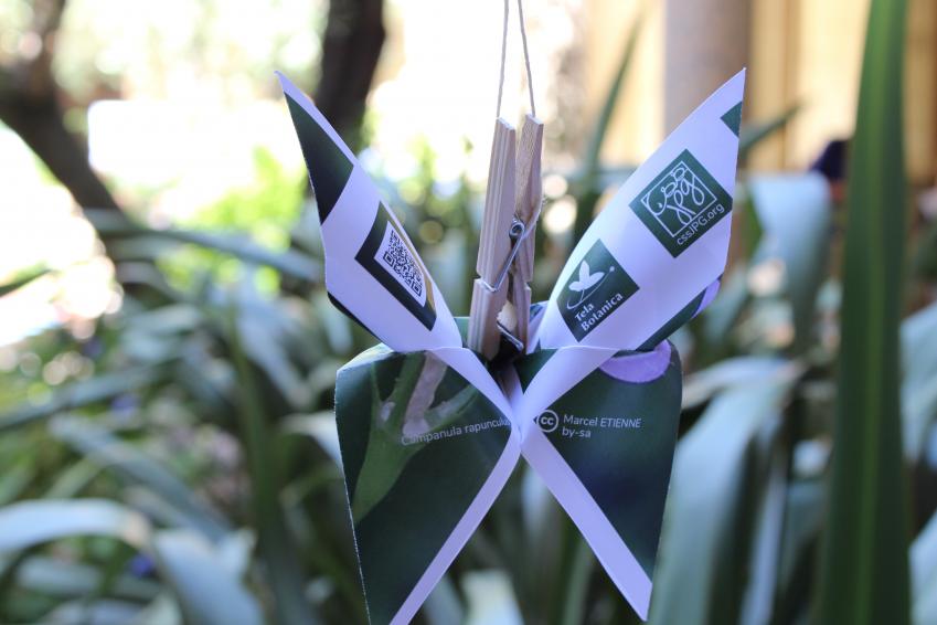 image Hugo5.jpg (2.2MB)