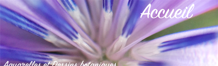 image Banniere_pour_laccueil.png (0.3MB)