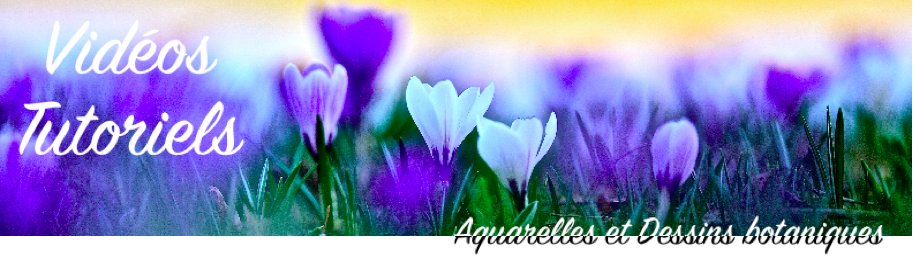 image Banniere_videos_tuto.png (0.5MB)
