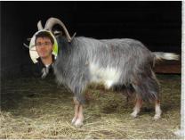 image ancetre.jpg (0.2MB)