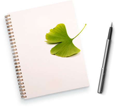 Cahier et stylo, avec une feuille de Ginkgo-biloba