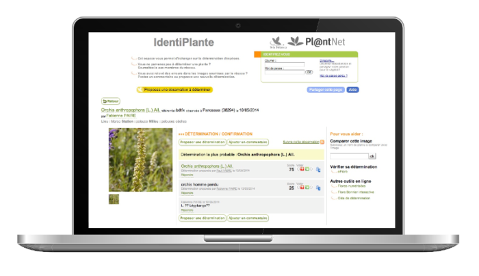 identiplante, determination floristique collaborative