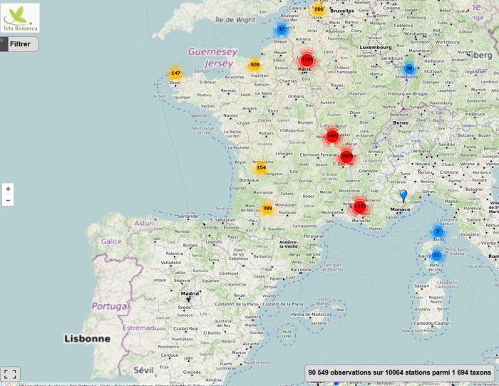 cartographie des observations sauvages de ma rue 