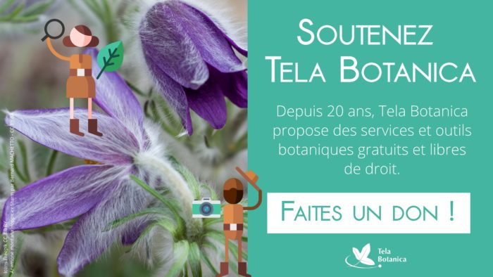 Soutenez tela botanica 2018