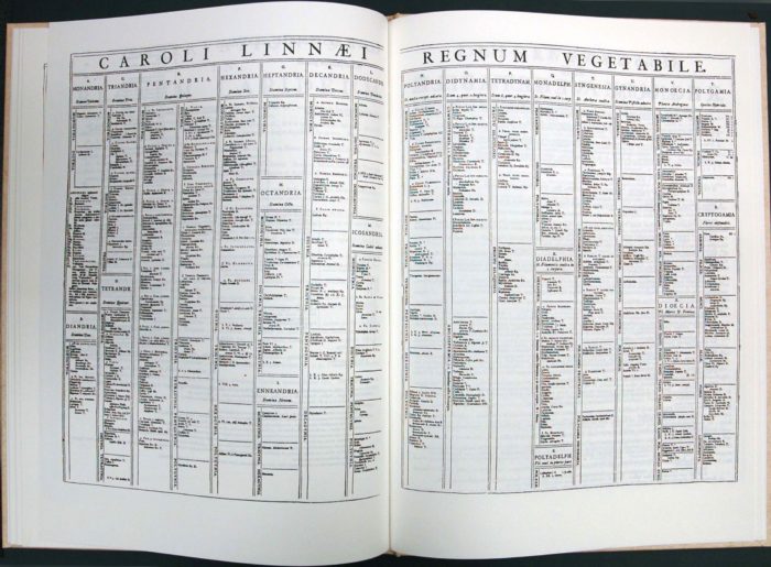 Extrait de Systema naturae, édition de 1735 (domaine public)