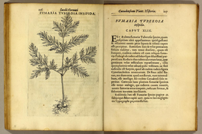 Canadensium Plantarum par Jacques-Philippe Cornut