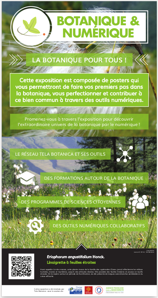 Poster d'introduction