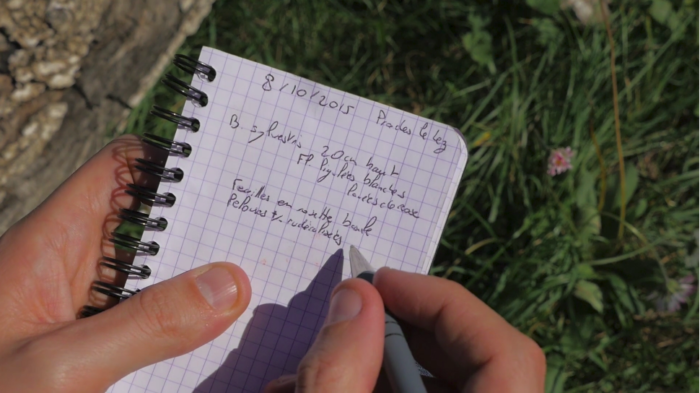 Relevé manuscrit d’une observation botanique sur le terrain - Extrait de la vidéo « Enregistrer ses découvertes » du MOOC botanique de Tela Botanica