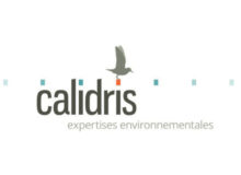 logo Calidris