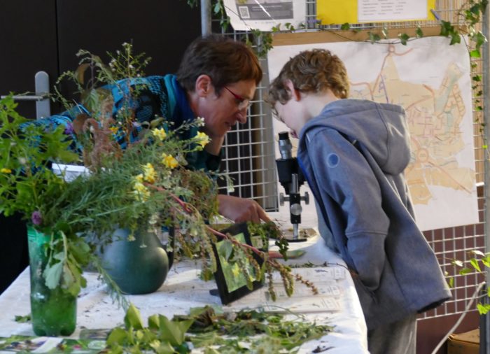 Fête de l'abeille à Beaumont