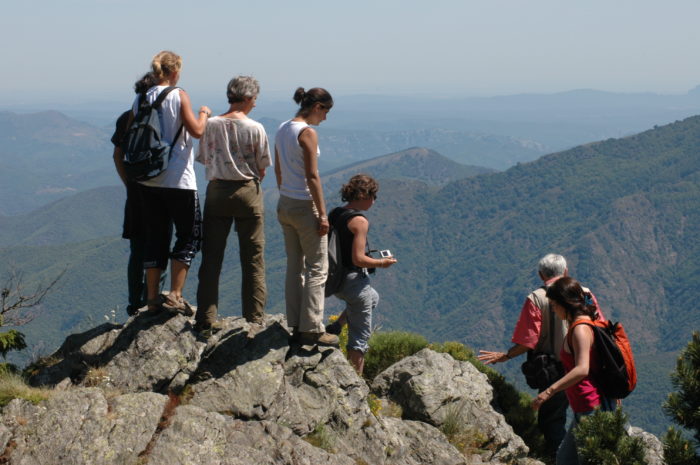 Sortie d’équipe pour le stage de Prune au Mont Aigoual sur le chemin pour accéder à l'arboretum de l'Hort de Dieu, de gauche à droite : Alexandre, Julie, Caroline, Hélène, Magali, Daniel, Prune. Photo de Jean-Pascal Milcent.