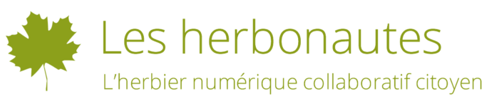 logo herbonautes