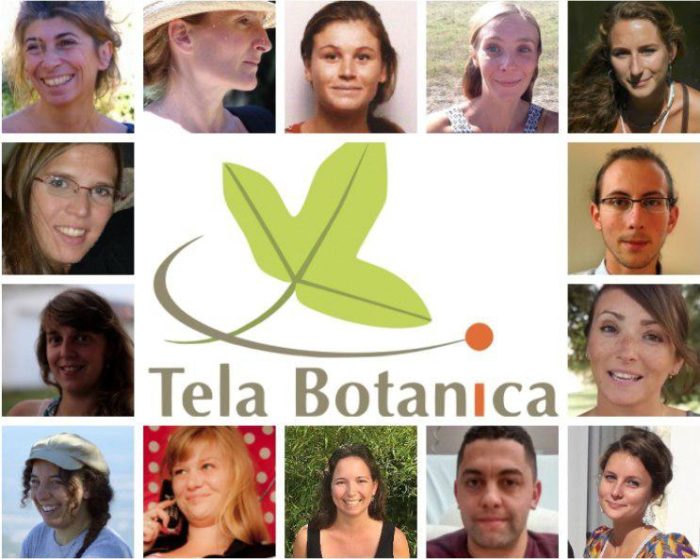 Photographie de l'equipe tela botanica