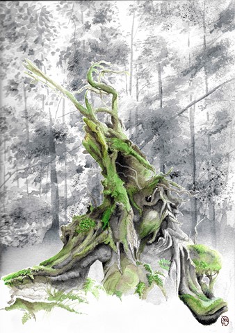 14 - Forêt initiale par Isabelle Pierdomenico