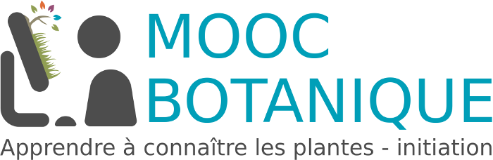 Logo MOOC Botanique