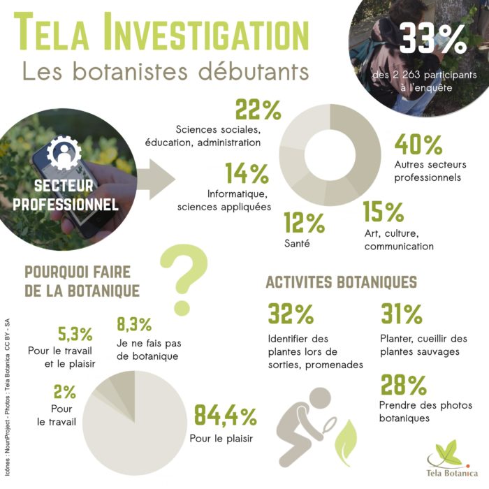 infographie des resultats