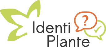 logo-identiplant