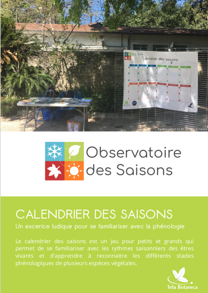 Fiche activité autour du calendrier des saisons