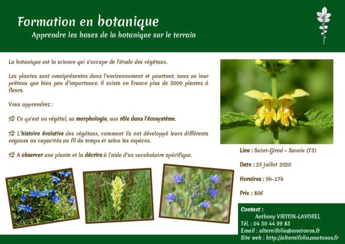 2020-07-25_botanique