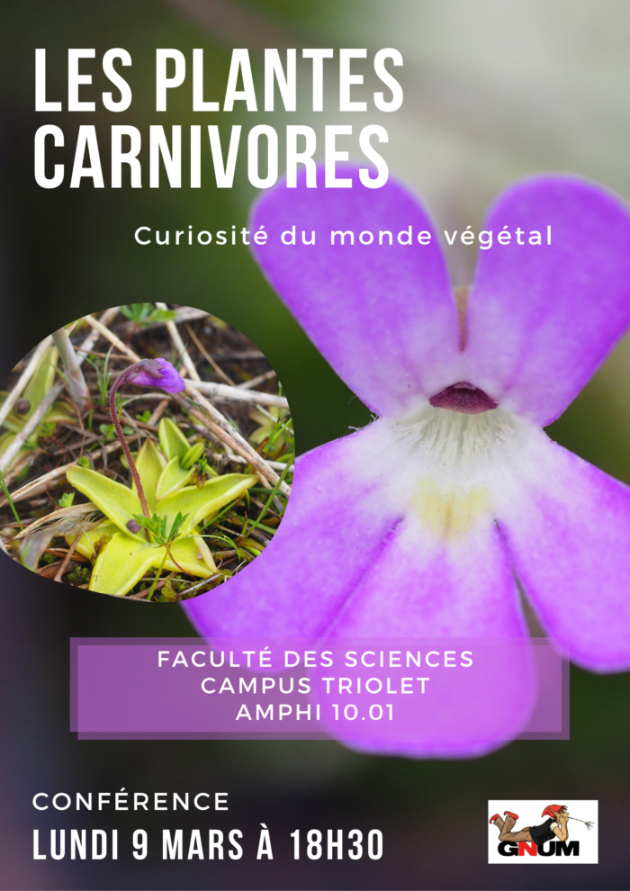 Les Plantes Carnivores _ curiosité du monde végétale