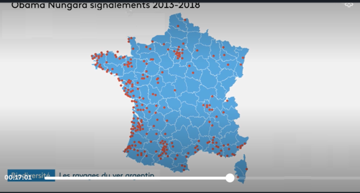 Déclaration de présence d'<i>Obama nungara </i>