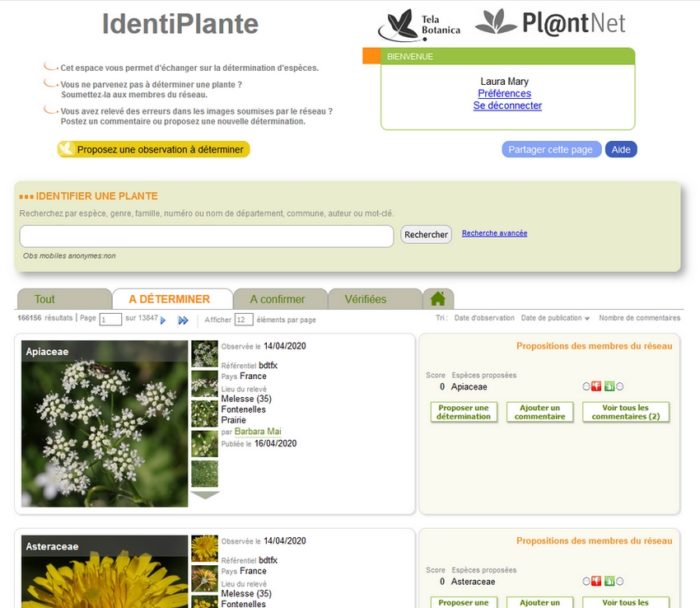 Accueil de la plateforme IdentiPlante