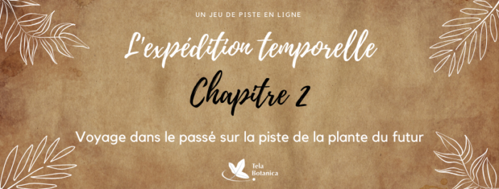 L'expédition temporelle