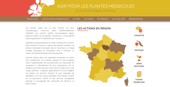 Agir pour les plantes messicoles – Plan national d’action en faveur des plantes messicoles