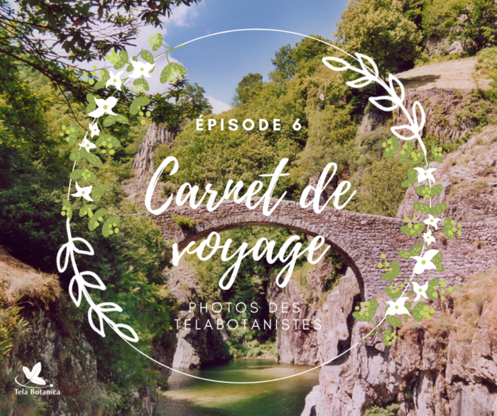 Carnet de voyage 6 - L'Ardèche