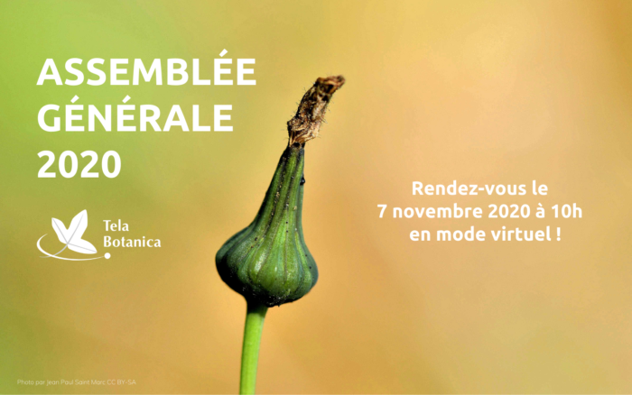 Une du site - Invitation Assemblée générale 2020