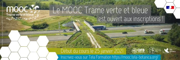 MOOC TVB Bannière Twitter(1)