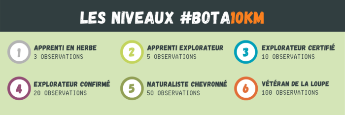 Les niveaux #Bota10km